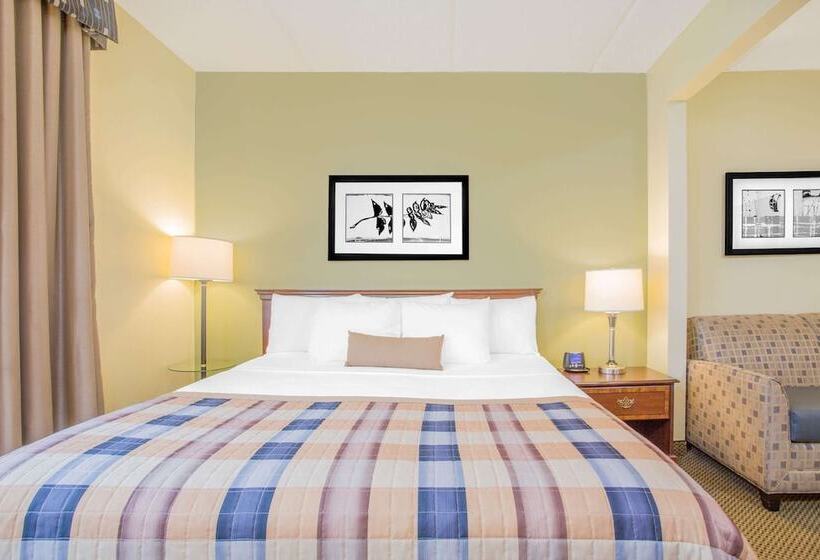 فندق Wingate By Wyndham Rock Hill / Charlotte / Metro Area