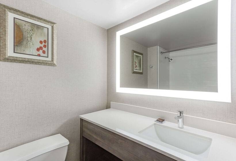 Отель Wingate By Wyndham Tinley Park