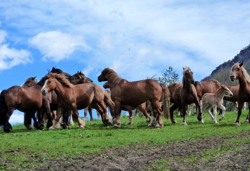בית מלון כפרי Garona