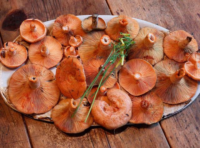 Hotel Rural Posada Real De Carreteros