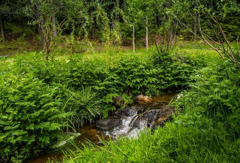 בית מלון כפרי Kouty