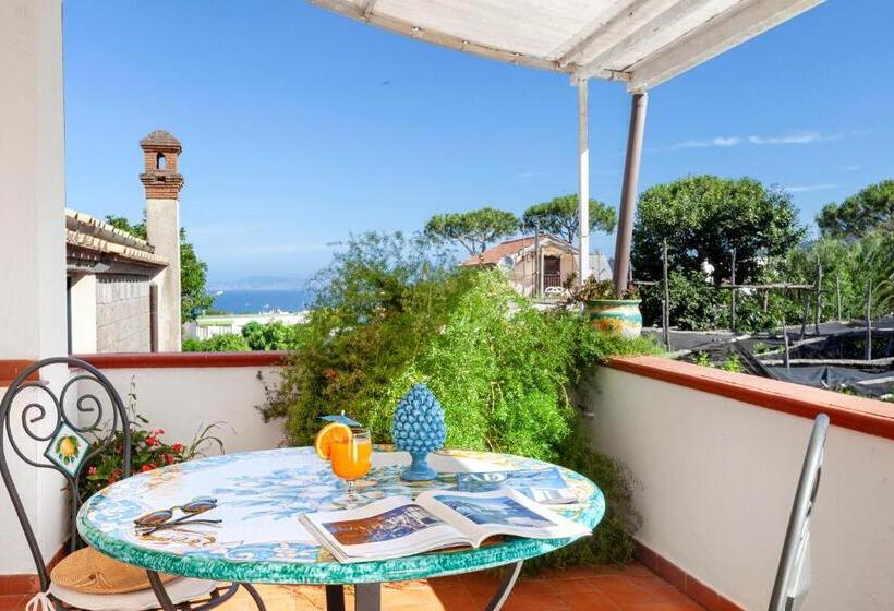 Villa Maresca B&b