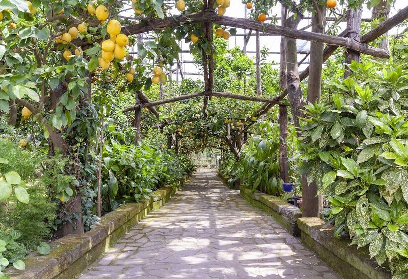 Villa Maresca B&b