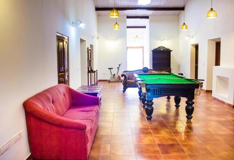 هاستل Mystique Ville