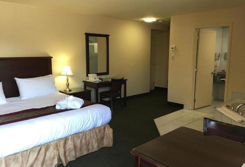Repotel Levis