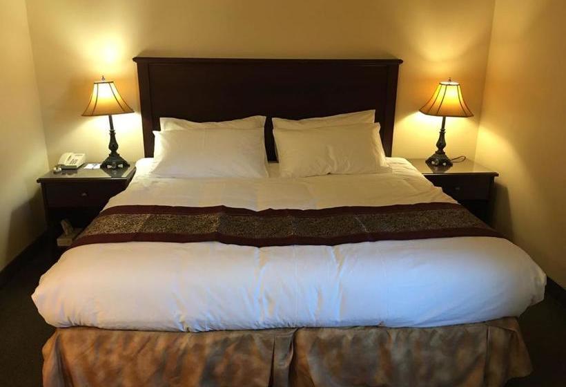 Repotel Levis