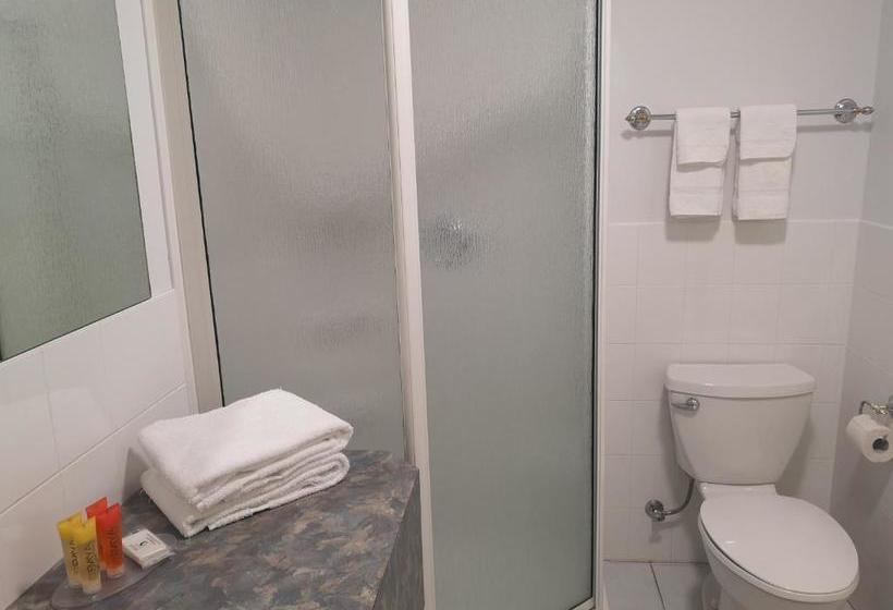 Repotel Levis