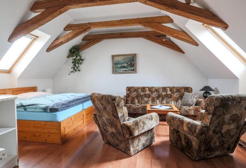 پانسیون Penzion Bedrč