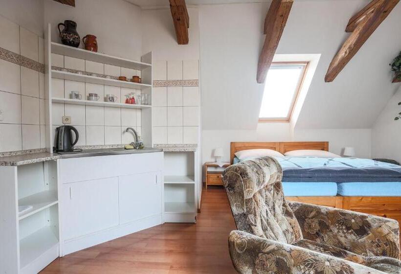 پانسیون Penzion Bedrč