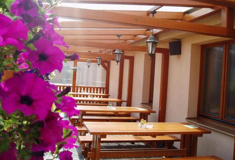 پانسیون Penzion U Vlků