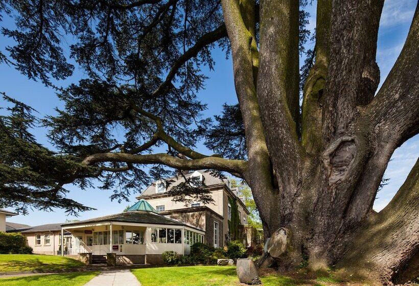 ホテル Mercure Bristol North The Grange