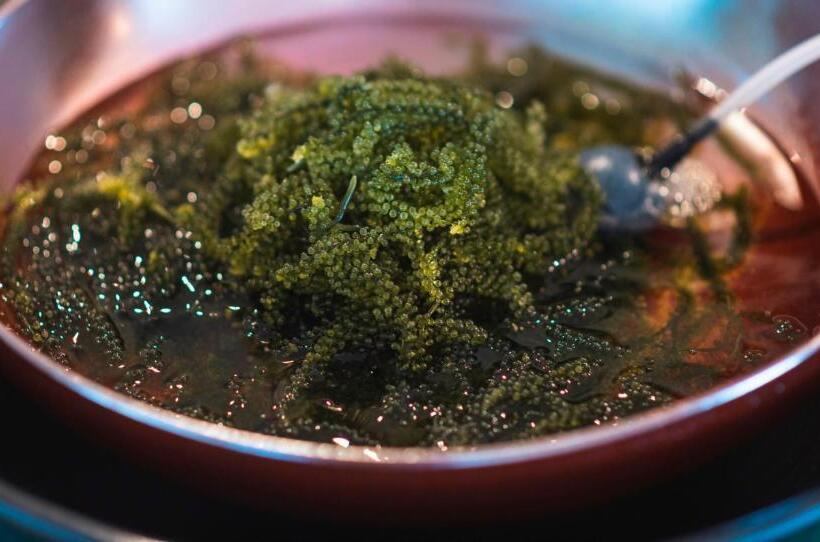 Hotel Sansui Naha ryukyu Hot Spring Naminoueyu