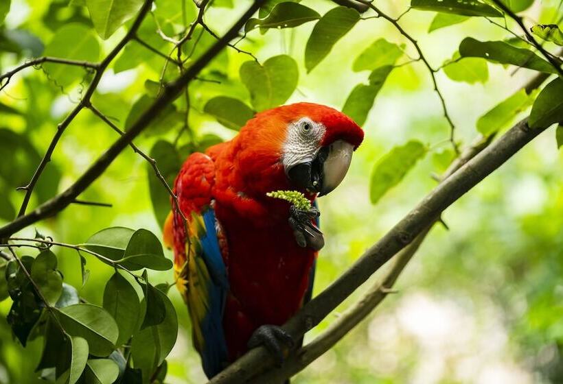 هتل Senda Cabaña Barlovento