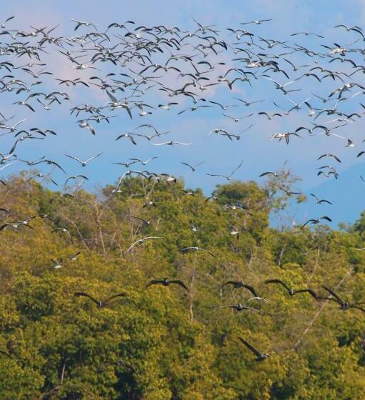 فندق Casa Mandala