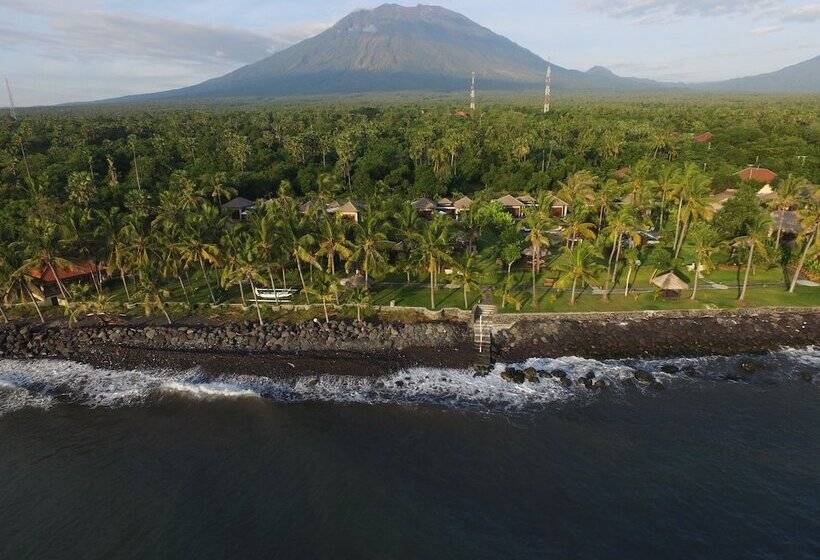 酒店 Relax Bali Dive & Spa Ocean Front Resort