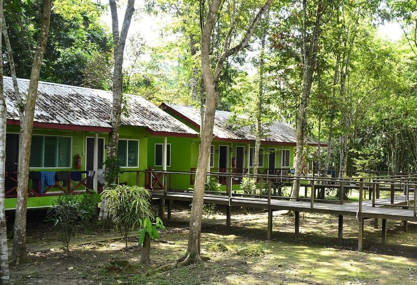 هتل Sukau Greenview Bed & Breakfast