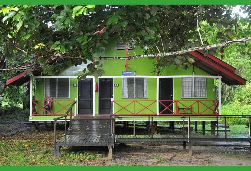 هتل Sukau Greenview Bed & Breakfast