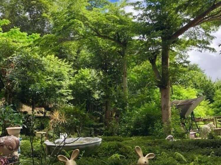 هتل Walk Cloud B&b