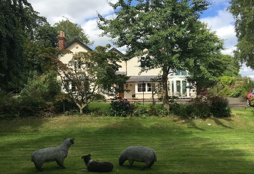 住宿加早餐  Bron Hafren