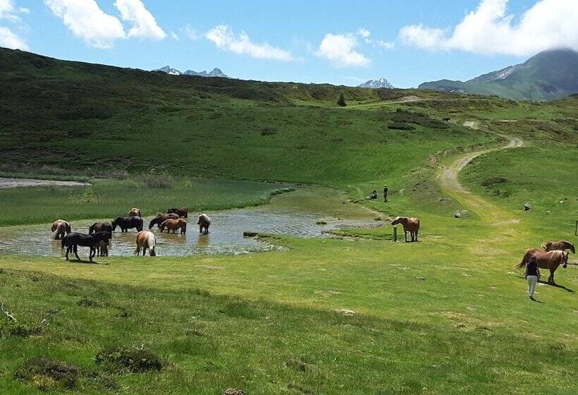 민박 Les Hauts De Hurlevents   Le Buffalo