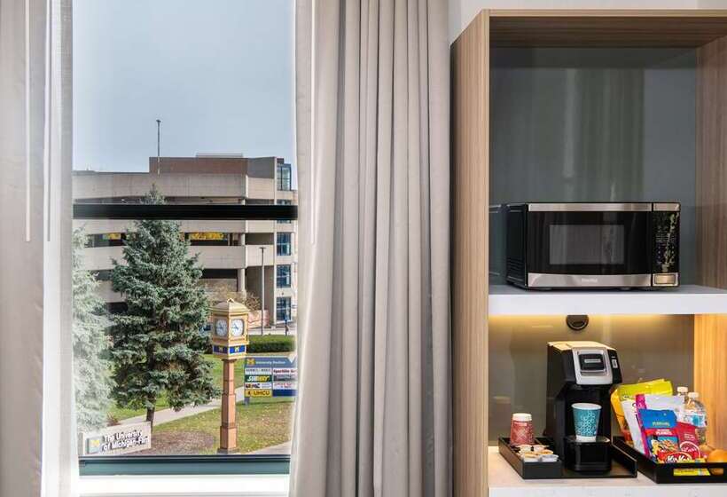 هتل Hilton Garden Inn Flint Downtown
