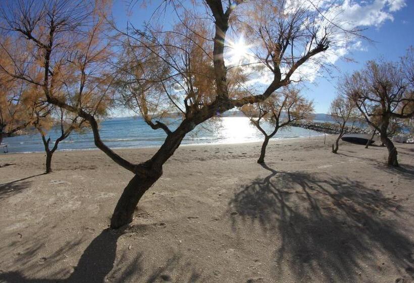 پانسیون Villa Mandalinic