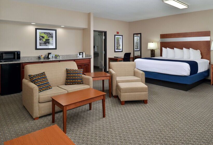 ホテル Best Western Big Spring Lodge