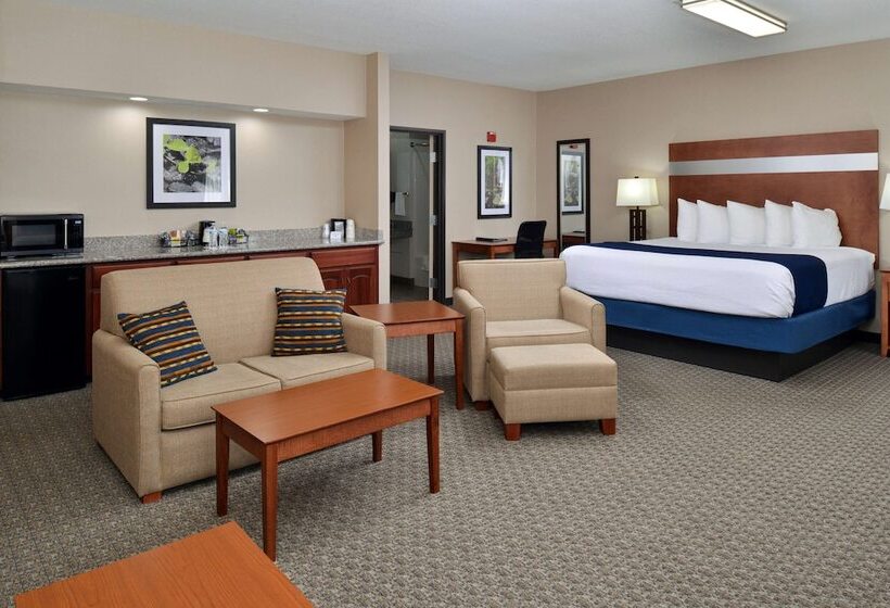 ホテル Best Western Big Spring Lodge