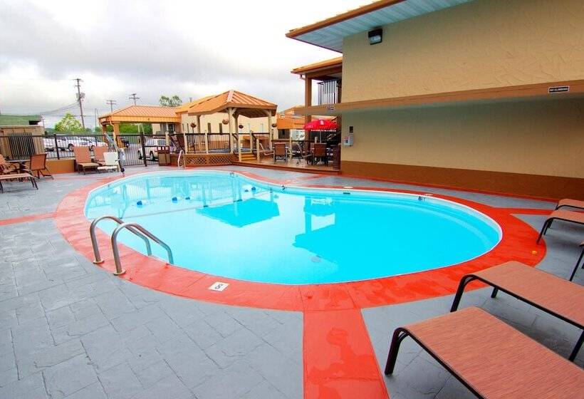 فندق Best Western Center Pointe Inn