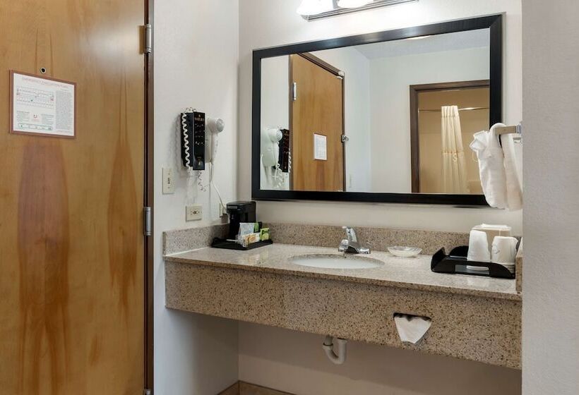בית מלון כפרי Best Western Des Plaines Inn