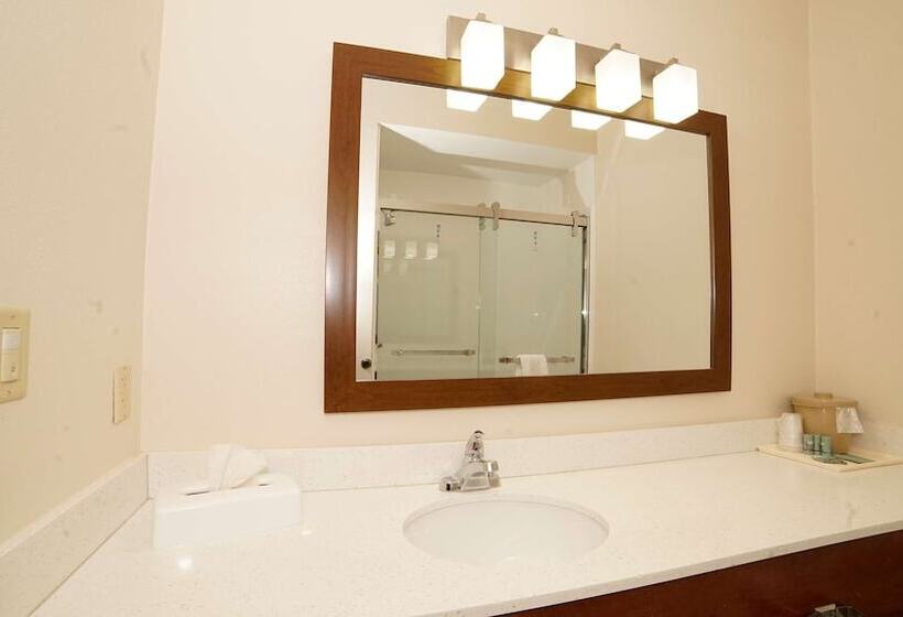 هتل Best Western Joliet Inn & Suites