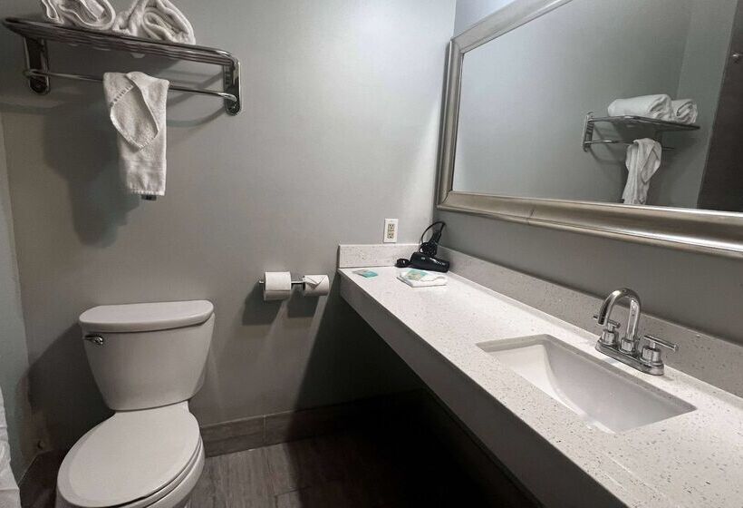 هتل Wingate By Wyndham Humble/houston Intercontinental Airport
