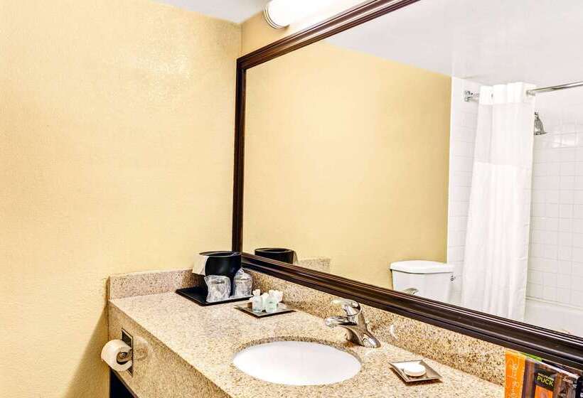 هتل Wyndham Garden Detroit Metro Airport