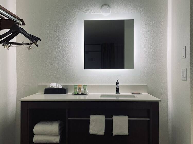 هتل Wyndham Garden Detroit Metro Airport