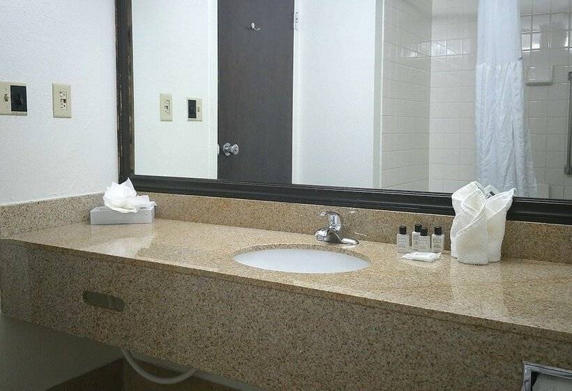 هتل Wyndham Garden Detroit Metro Airport