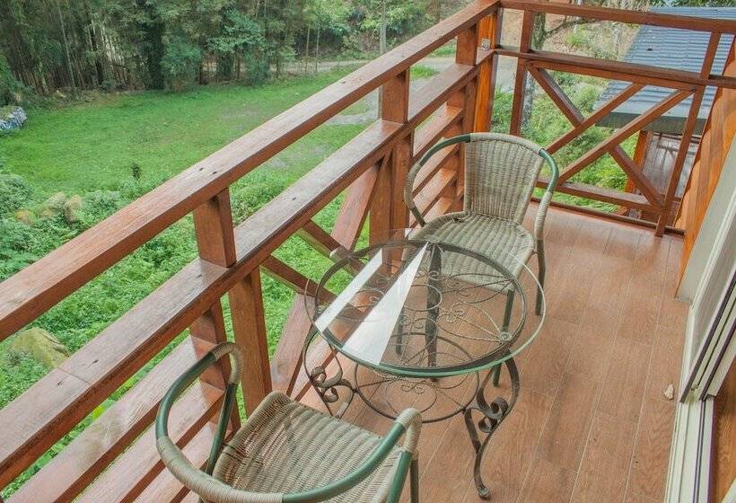 تختخواب و صبحانه Xitou Star Homestay