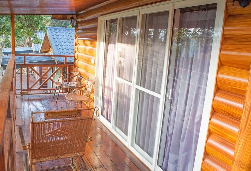 تختخواب و صبحانه Xitou Star Homestay