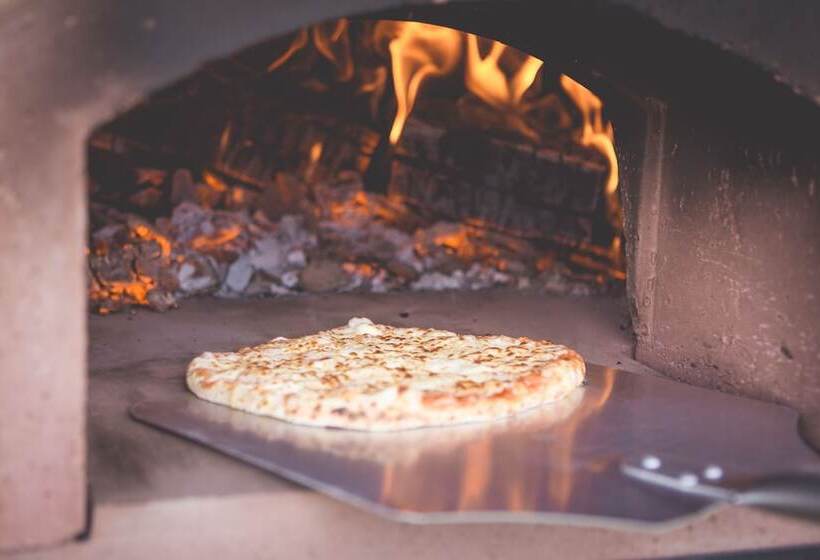 فندق Canvas & Clover