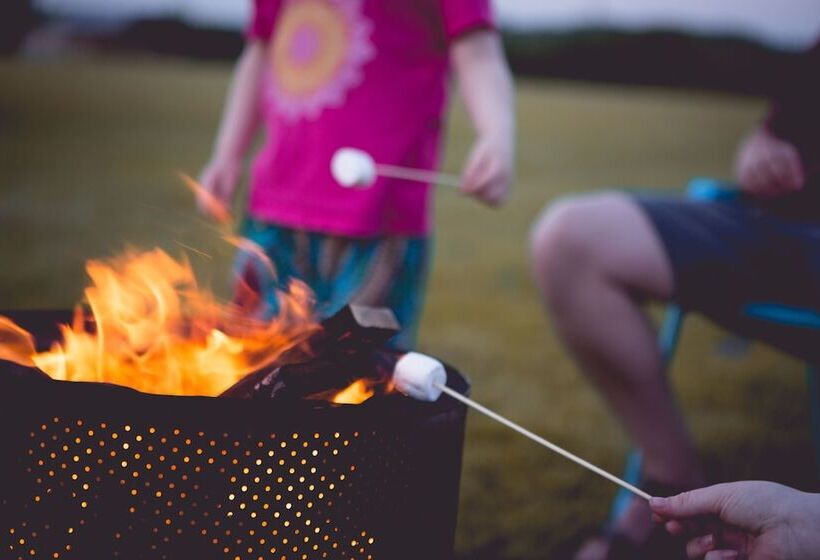 فندق Canvas & Clover