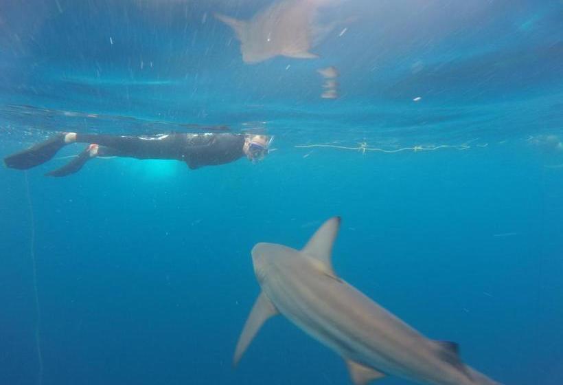 Bed and Breakfast Aliwal Dive Centre & Lodge