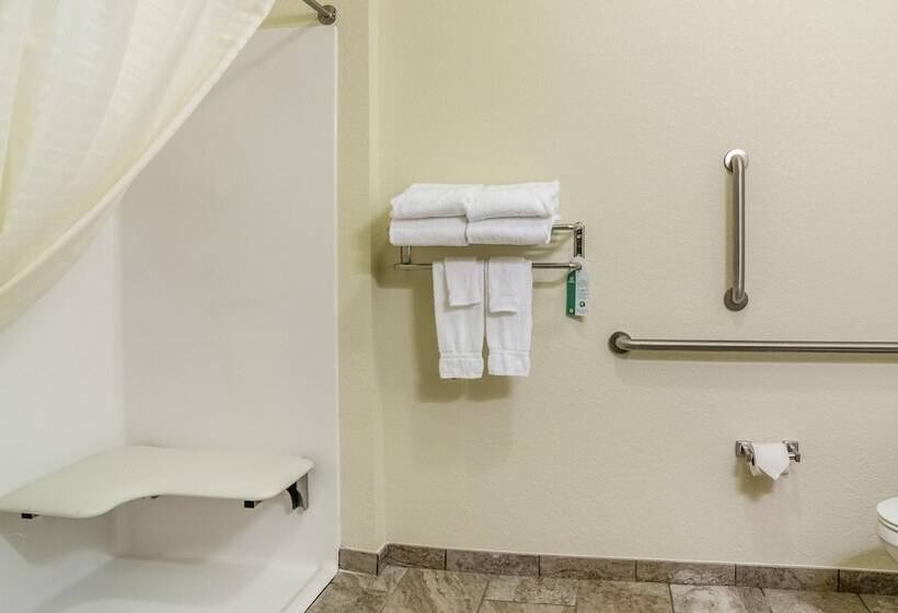 Cobblestone Hotel & Suites   Cozad