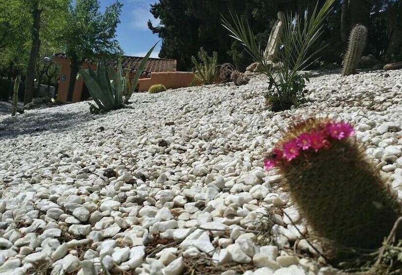 בית מלון כפרי Camping & Bungalows Suspiro Del Moro