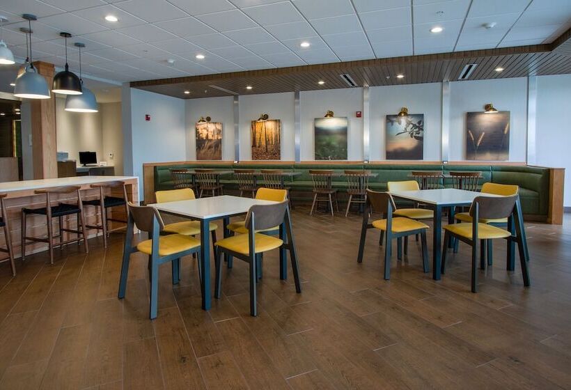 فندق Fairfield Inn & Suites Duncan