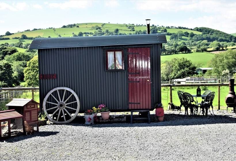 Meadow Shepherds Hut