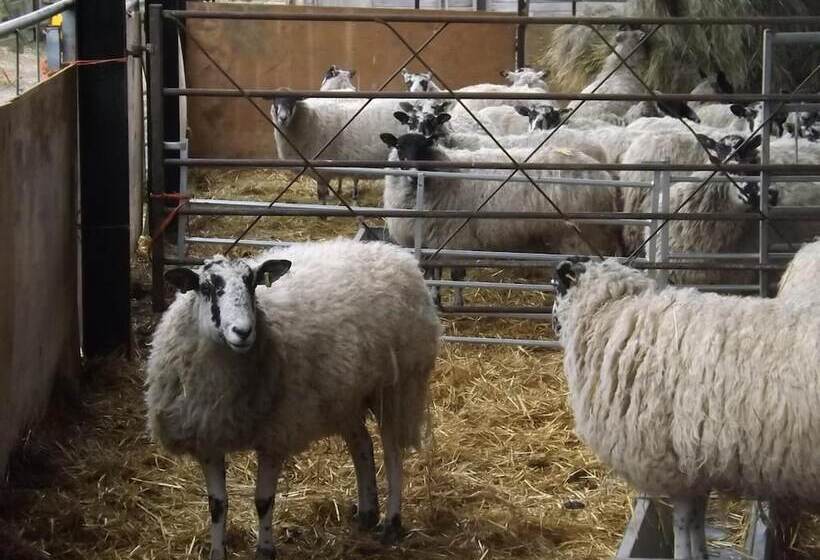 Pear Tree Farm B&b