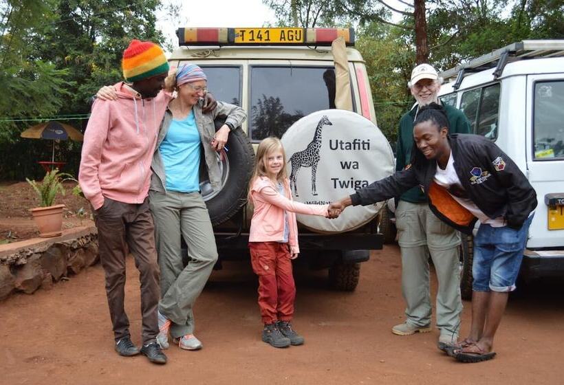 African Wagtail Hostel