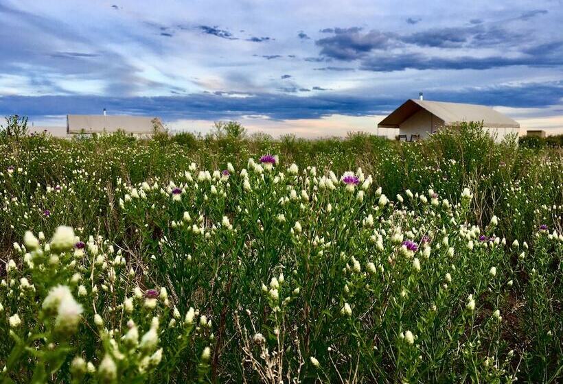 Отель Rustic Rook Resort Great Sand Dunes
