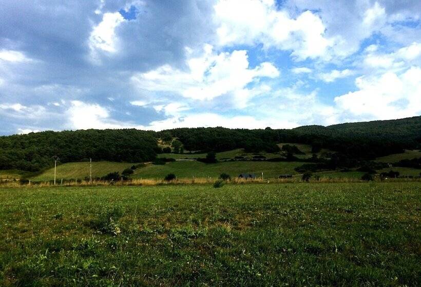 بنسيون Casa Elita