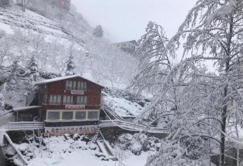 تختخواب و صبحانه şelale Apart