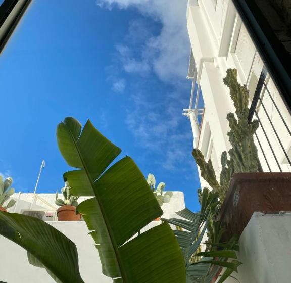 تختخواب و صبحانه Suites Edivino Design Capri